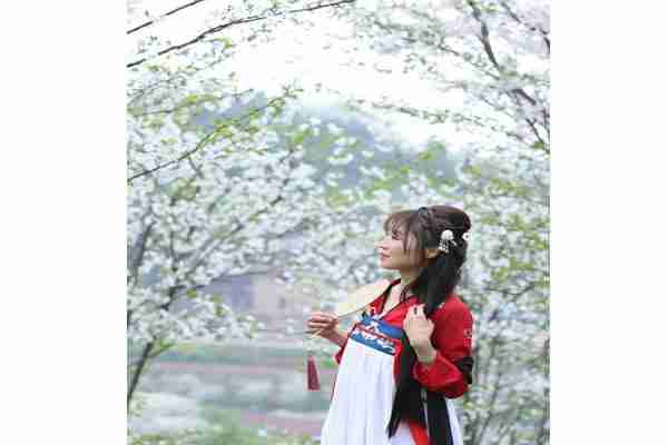 瀘州丹林櫻花谷門票價格