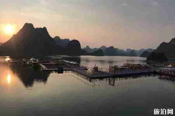 2020上林大龍湖景區恢復開放時間-購票方法