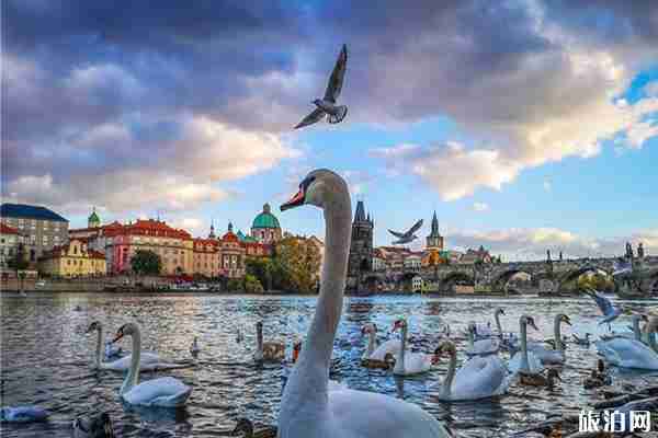 2020捷克全国隔离最新消息和景点推荐