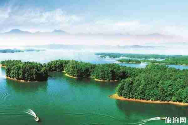 信阳南湾景区开放时间 附门票及优惠政策