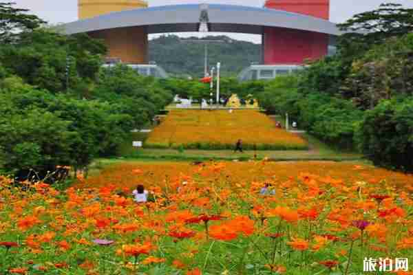 五月深圳赏花景点介绍