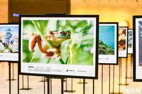 重庆自然博物馆预约多久可以参观 恢复开放了吗