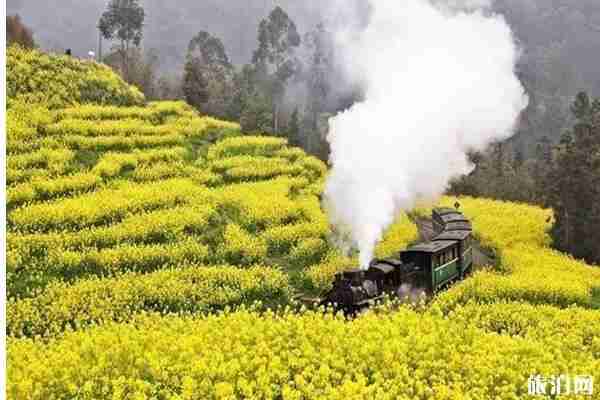 2020嘉阳小火车开放时间和门票优惠政策