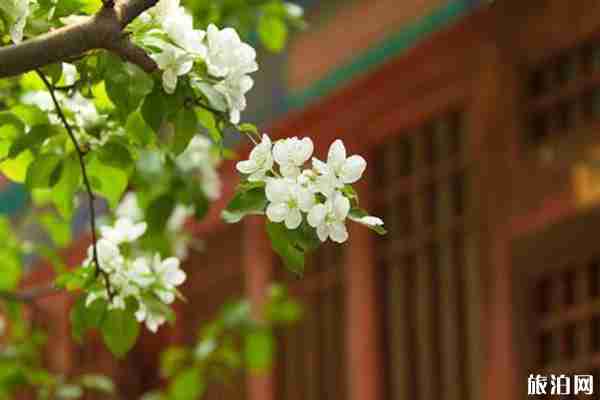 北京凤凰岭登山路线