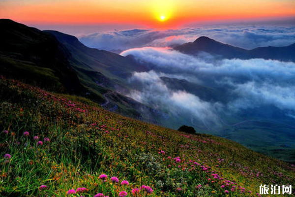 2020贵州A级景区半价优惠时间及免票优惠活动信息