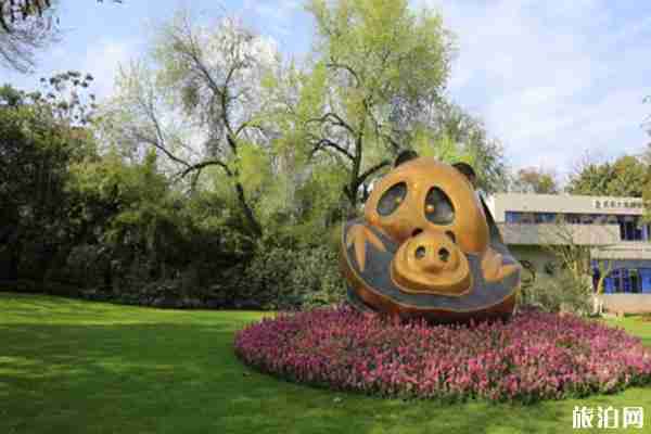 2020成都大熊猫繁育研究基地开放时间-购票方式