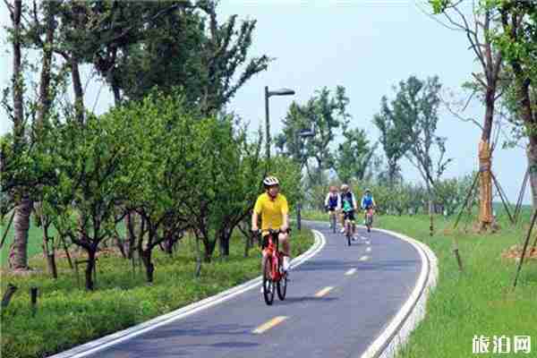 阳澄湖半岛骑行收费价格 租赁地点和路线推荐
