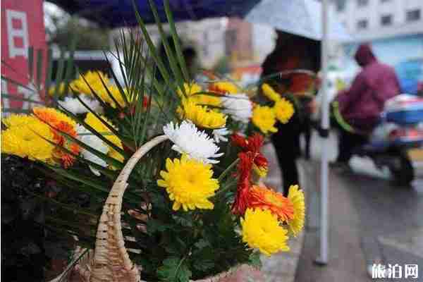 2020銀川清明掃墓預約攻略和電話信息