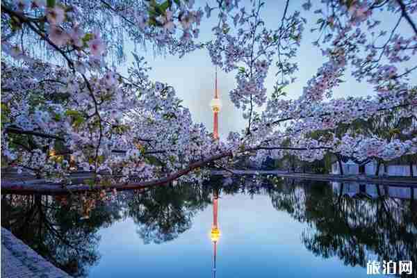 2020年清明節(jié)北京旅游景點推薦