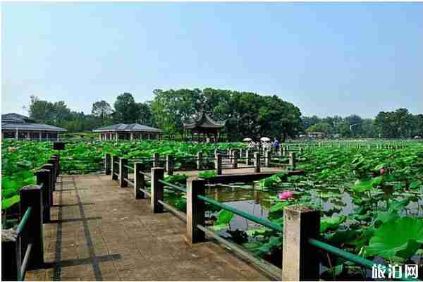 2020武汉春游最佳去处推荐