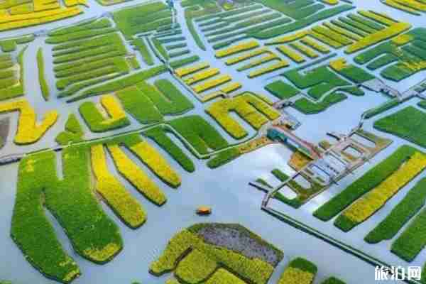 2020泰州免门票景点名单 泰州对医护人员免费的景点