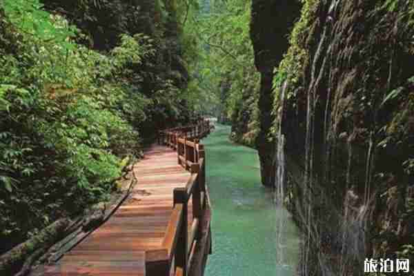 2020重庆5a景区有多少个-名单