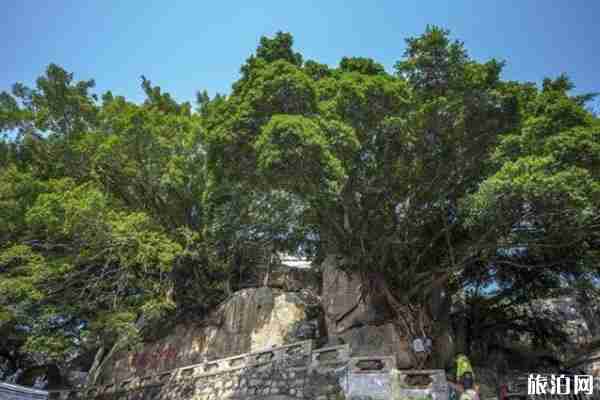 2020德化九仙山景区门票预约-优惠政策