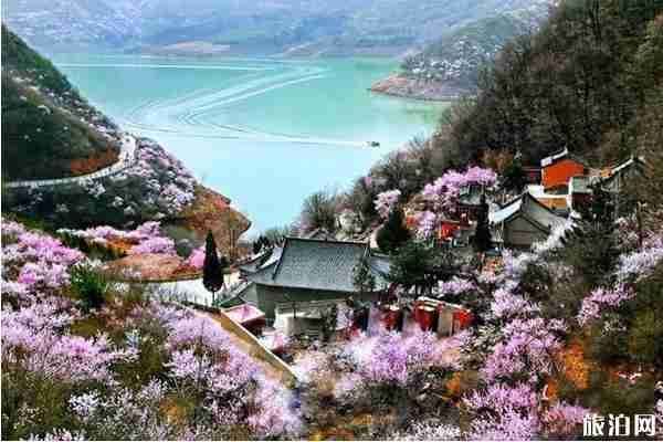 2020崆峒山桃花节时间-地点-门票