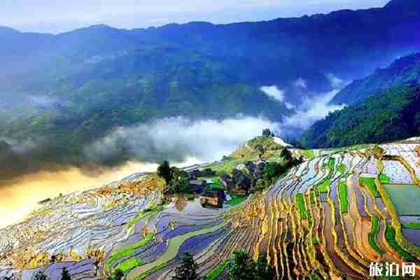 2020年贵州旅游门票优惠政策