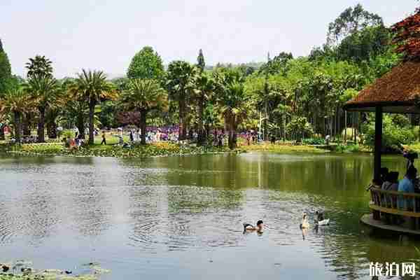 2020昆明植物园开放时间-区域-优惠政策