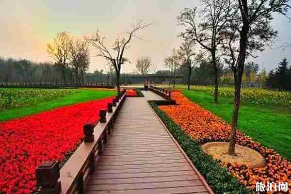 奧林匹克森林公園劃船多少錢-游玩攻略