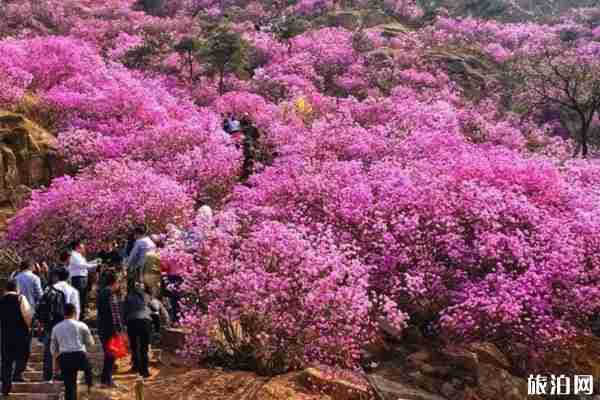 青島大珠山游玩攻略 門(mén)票-開(kāi)放時(shí)間