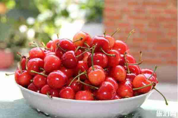 成都櫻桃幾月份成熟 2020成都櫻桃采摘價格及交通指南