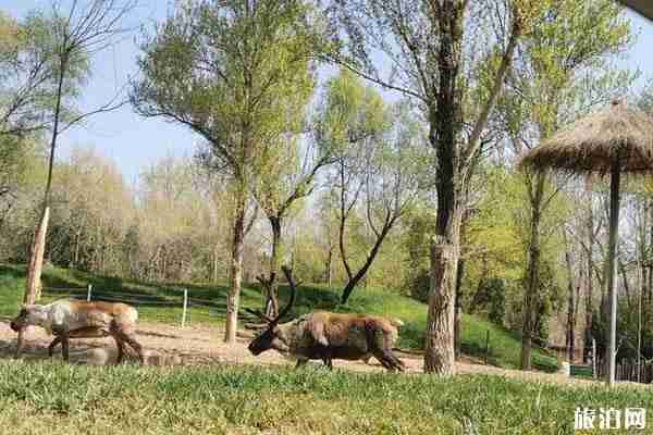 北京京郊春季旅游景點(diǎn)推薦 京郊春游攻略