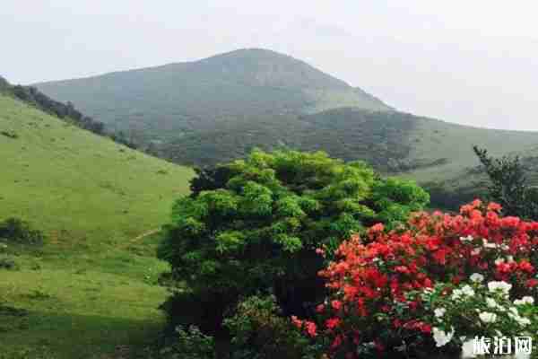 福清大姆山草場攻略 好玩嗎-開放時間