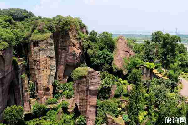 廣州蓮花山最佳賞花時間
