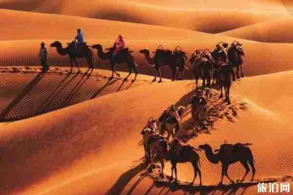 沙坡頭景區特色旅游項目 2020年門票優惠政策