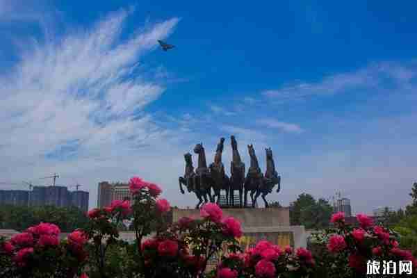 去洛陽看牡丹住哪里比較好