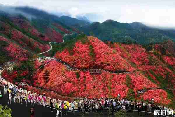 2020湖北景區優惠政策 湖北景區免費開放政策