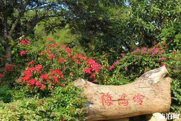 東坪山公園怎么去 廈門東坪山有哪些景點