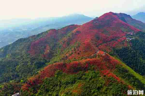 井岡山門票多少錢一人2020和門票優惠政策