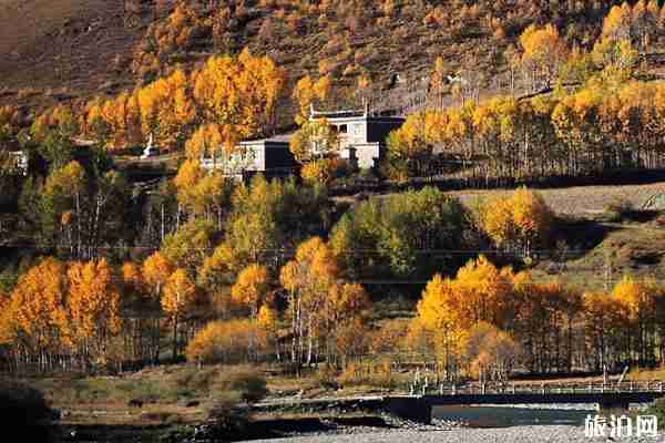 新都桥最佳观赏时间