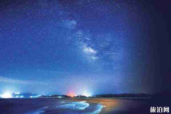 蓝眼泪是什么生物 什么时候会出现