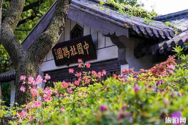 惠山古镇杜鹃花哪里有 无锡怎么去惠山古镇
