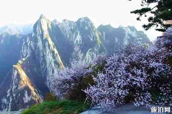 华山门票2020优惠政策 华山门票怎么预约