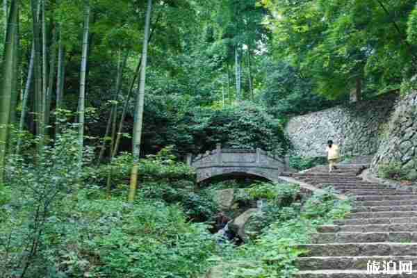 莫干山最佳旅游时间