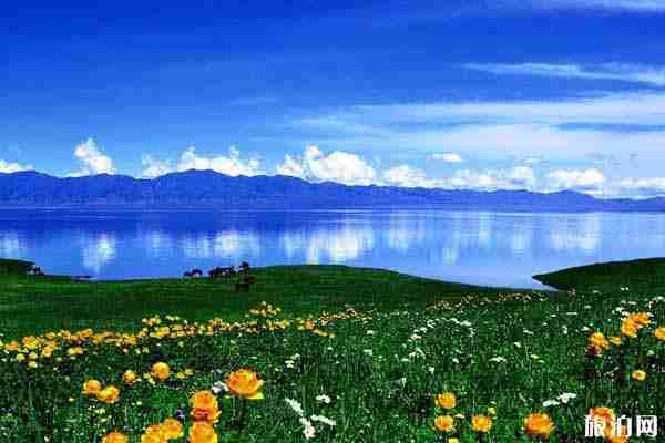 2020年五一去新疆需要什么证明 五一新疆恢复列车