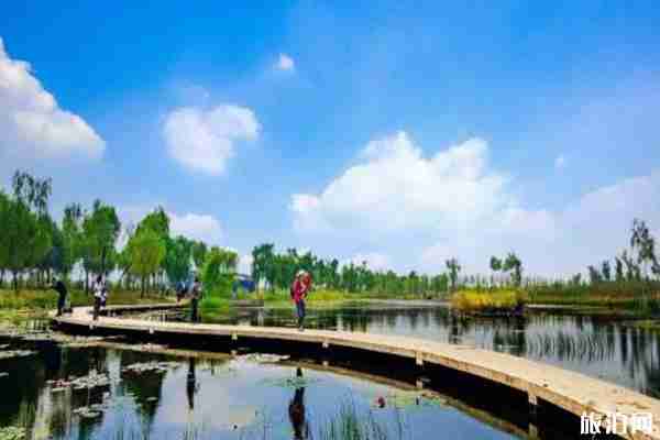 济南周边露营推荐