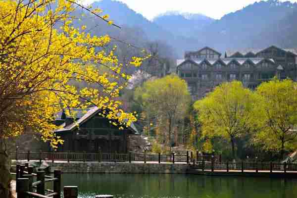 2020九如山春花節(jié)攻略 九如山民宿推薦