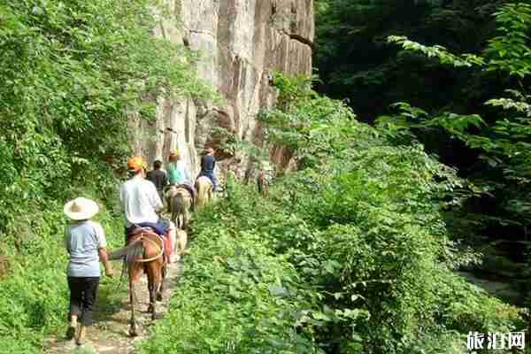 2020年五一普洱茶馬古道游玩攻略