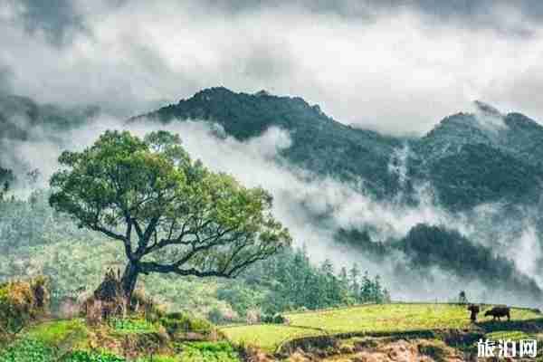 2020年五一靈山門(mén)票免費(fèi)條件 電子消費(fèi)券怎么領(lǐng)取