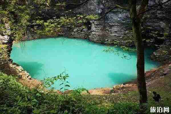 張家界發現地質奇觀天坑心湖 在哪-形成原因
