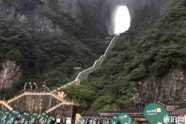 2020第四屆張家界天門山國際越野賽報名方式 時間地點路線