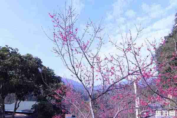 2020廈門天竺山預約方式 廈門天竺山攻略