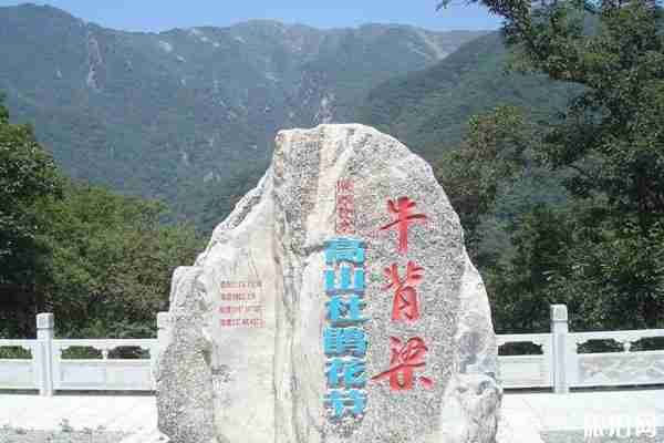 牛背梁國家森林公園景區直通車運行時間