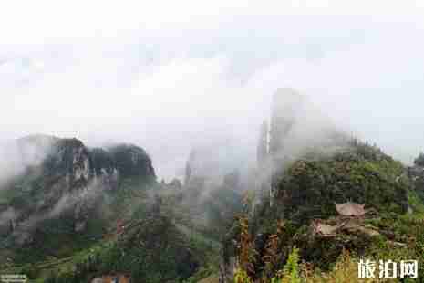 恩施好玩的地方有哪些 恩施旅游景點