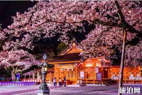 各國各地區出入境禁止攜帶物品清單整理