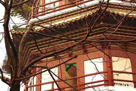 廣州六榕寺地址+交通+開放時間+門票+介紹