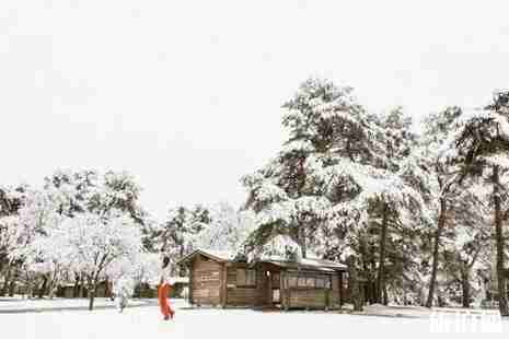 2019轻井泽滑雪攻略