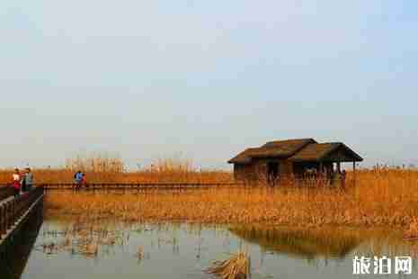 寧波有哪些好玩的景點 寧波旅游景點推薦